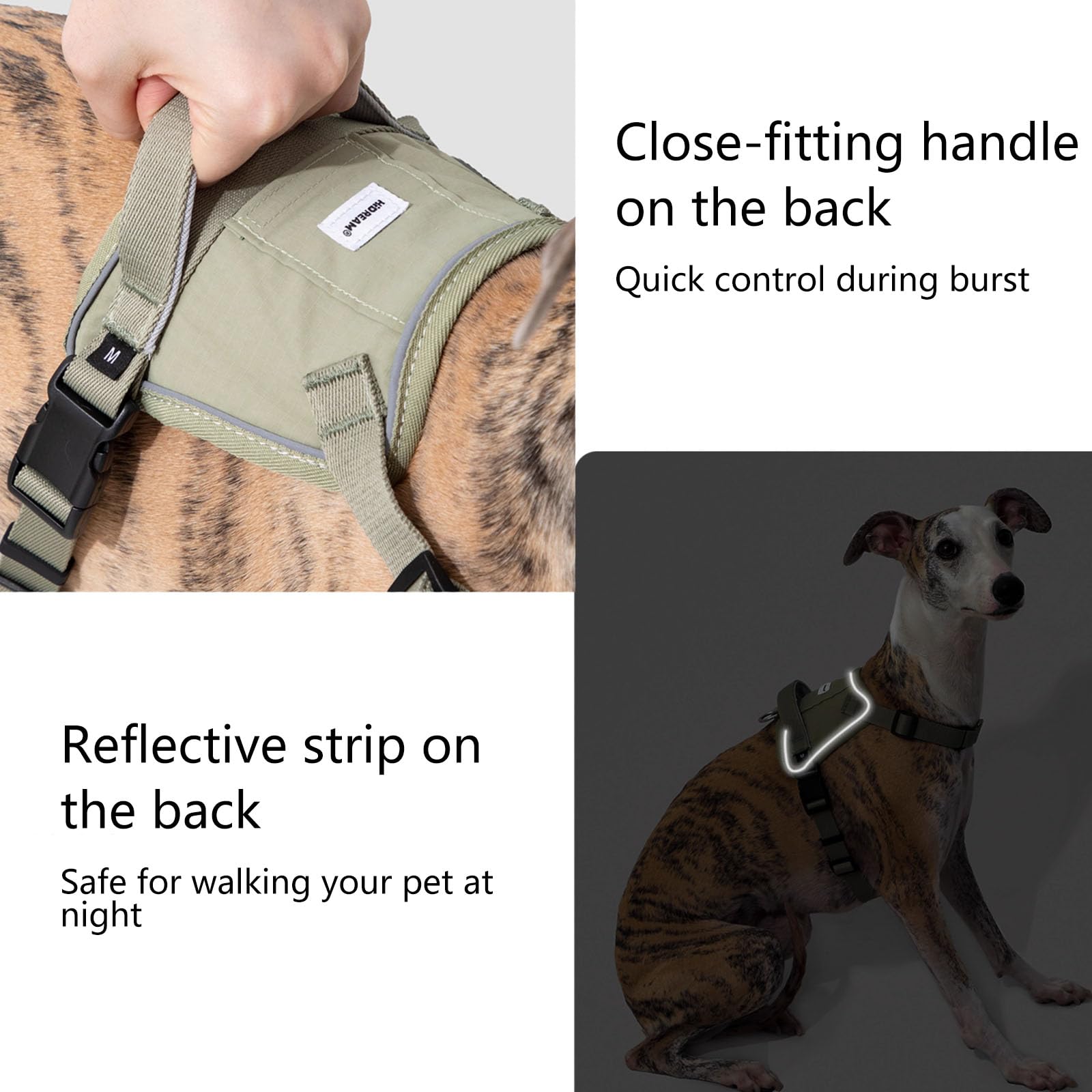 Pettorina Regolabile per Cani, Clip Anteriore Anti-Tiro, Pettorina per Cani con 2 Punti di Collegamento al Guinzaglio, Imbottita, Pettorina Riflettente Tutto in Uno per Cani,Verde,S