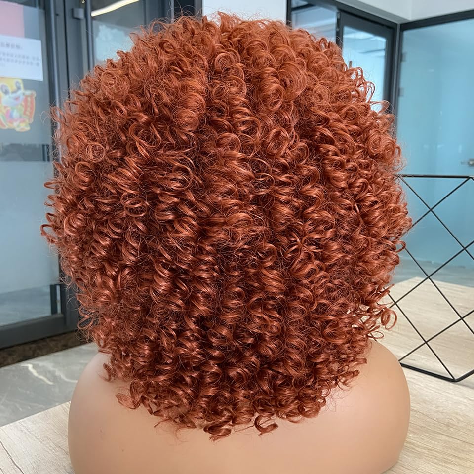 YEESHEDO Afro Curly Copper Brown Wig for Women Men Shoulder Length Kinky Curly Heat Resistant Synthetic Full Hair Wigs for Daily Cosplay Halloween - Image 4