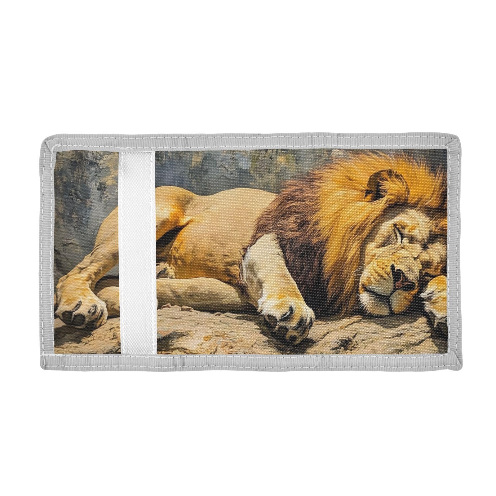 FOLIOSA Kids Wallet for Boys Girls Sleeping Lion Print Youth Wallet with Zipper Pocket Card Holders, Novelty Wallet 4.9×2.9 in