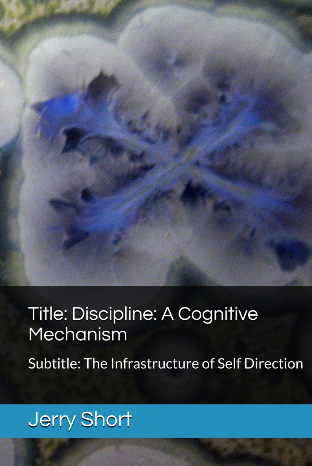 Discipline: A Cognitive Mechanism: The Infrastructure of Self Direction (The MGCA Multiverse Series)