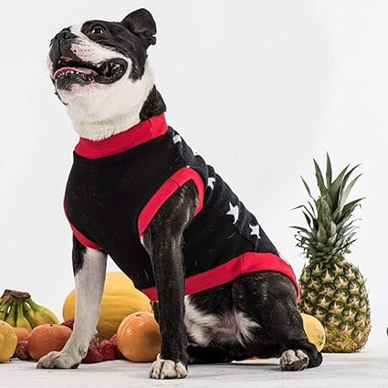 Best dog coat for staffy Clearance