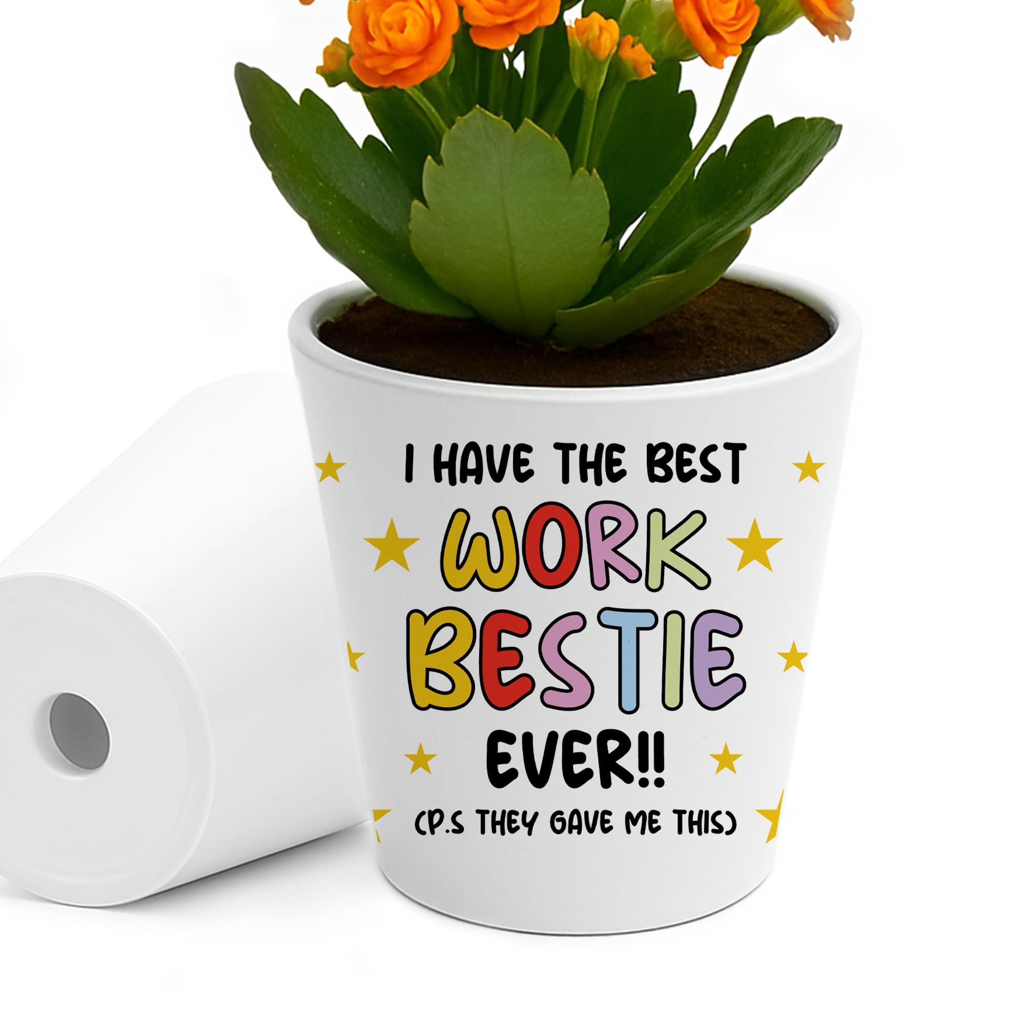 RED OCEAN Christmas Birthday For Bestie WORK BESTIE Flower Pot Friendship For Him Her Colleague Keepsake Funny Friend