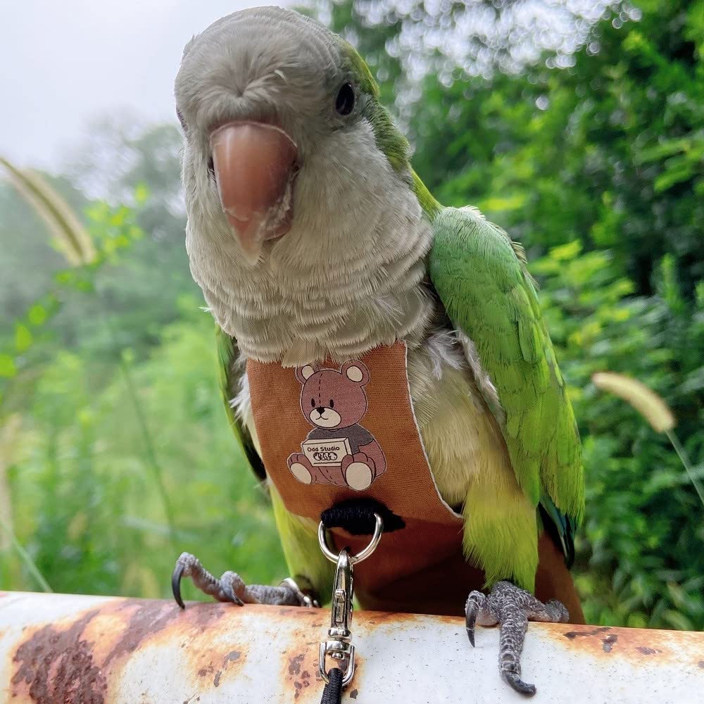 Harnesses For Parrots - Temu