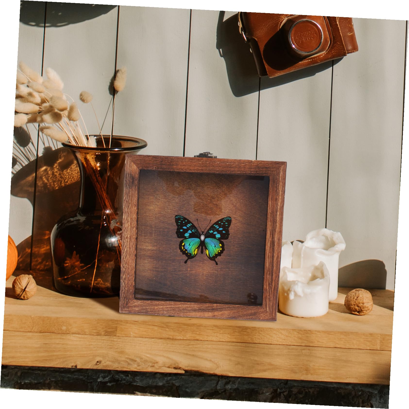 TOYANDONA Scatola Espositore per Insetti Ganci in Legno e Acrilico, Stile Retrò, Grande Capacità, Portatile e Sicura per Collezioni di Farfalle e Altri Insetti