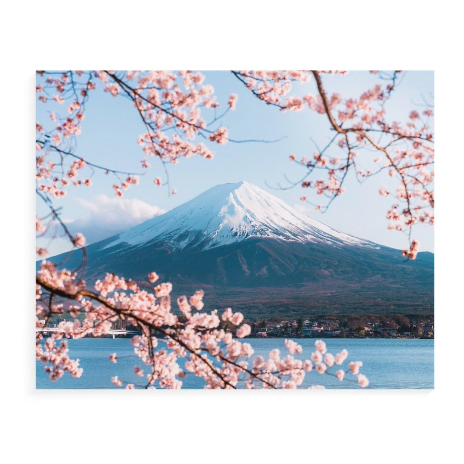 油絵 絵画【桜の富士山】 楽天市場】絵画 富士に桜 加藤芳雄 F6 富岳 油絵 インテリア 額