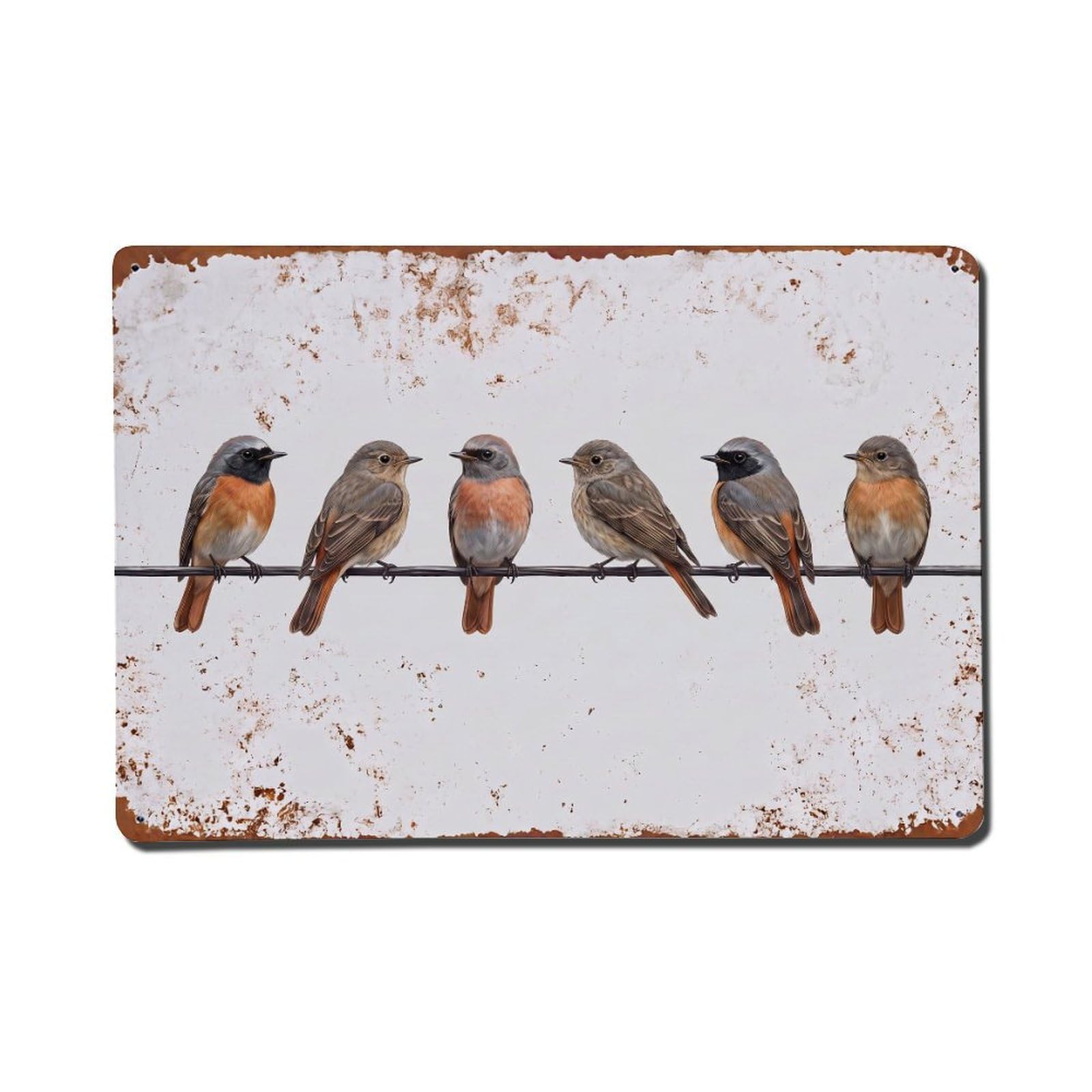 Vintage Retro Birds Common Redstart Metal Tin Sign