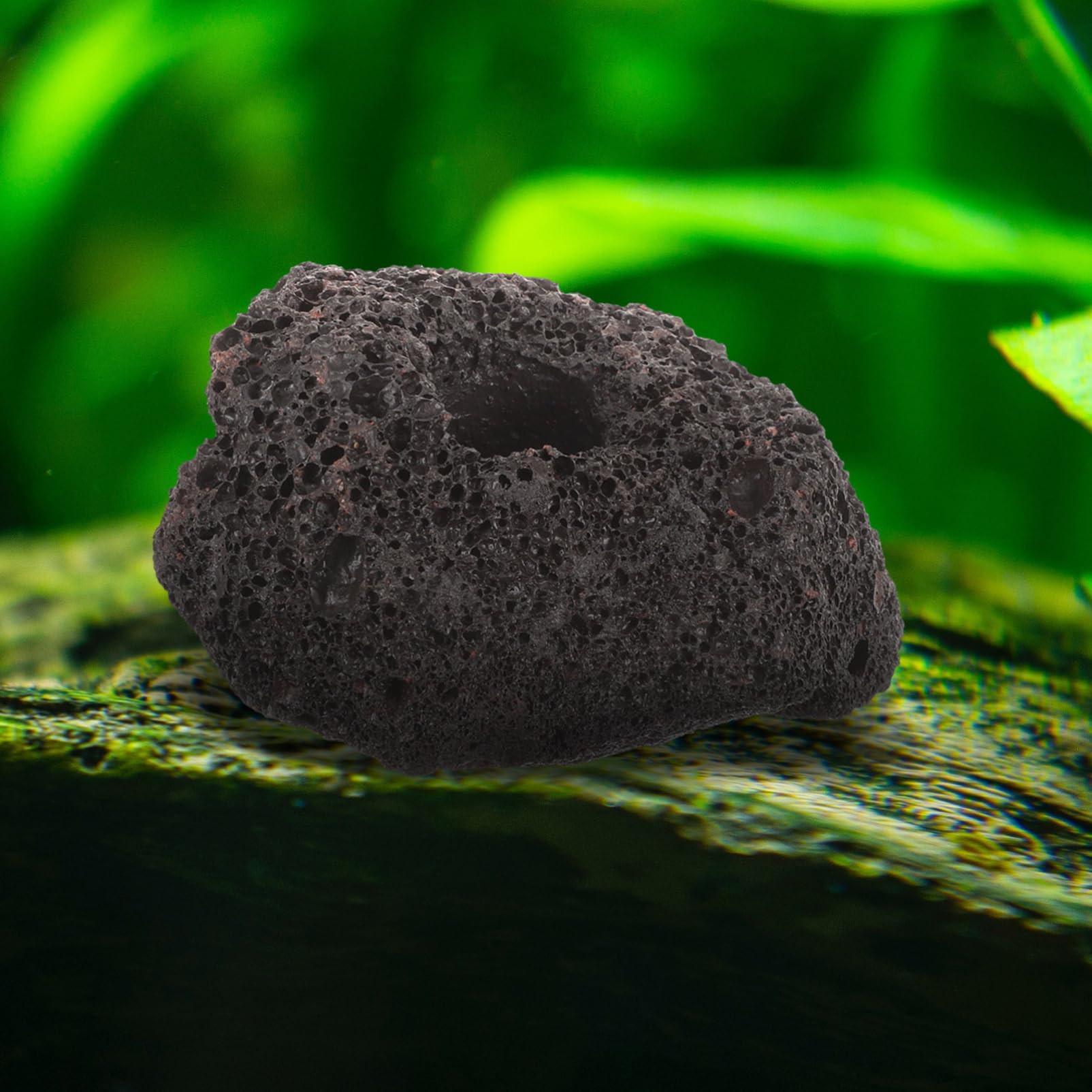SUPVOX 10piezas Adornos Rocas Volcánicas Anillos Fijación Peceras Decoración Acuario