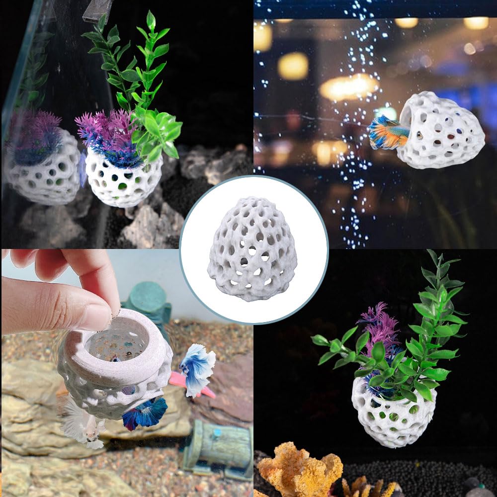 Amazon.co.jp: 多孔質模造サンゴ石のエビハウス - 吸盤付き水族館装飾