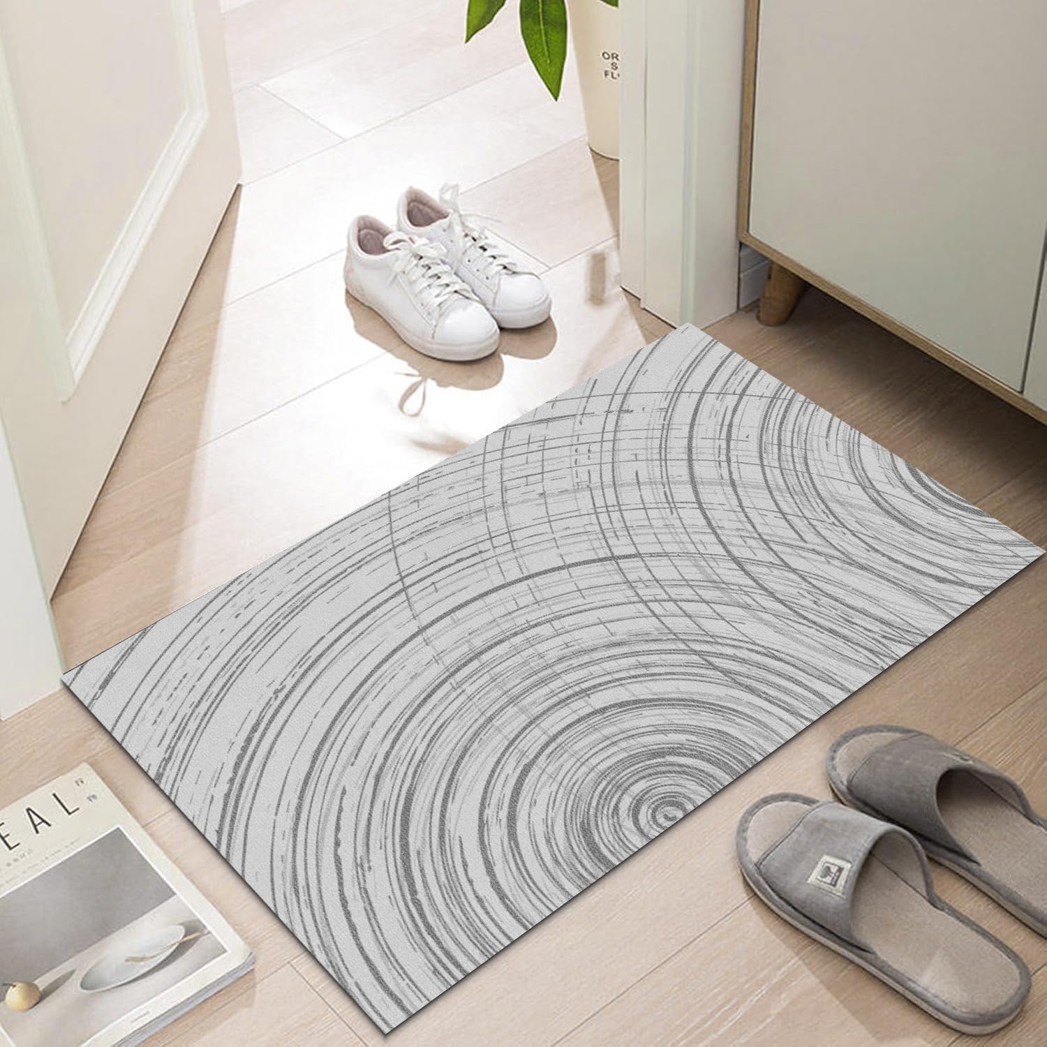 Photo 1 of LYGLIGH Ultra-Thin Indoor Doormat