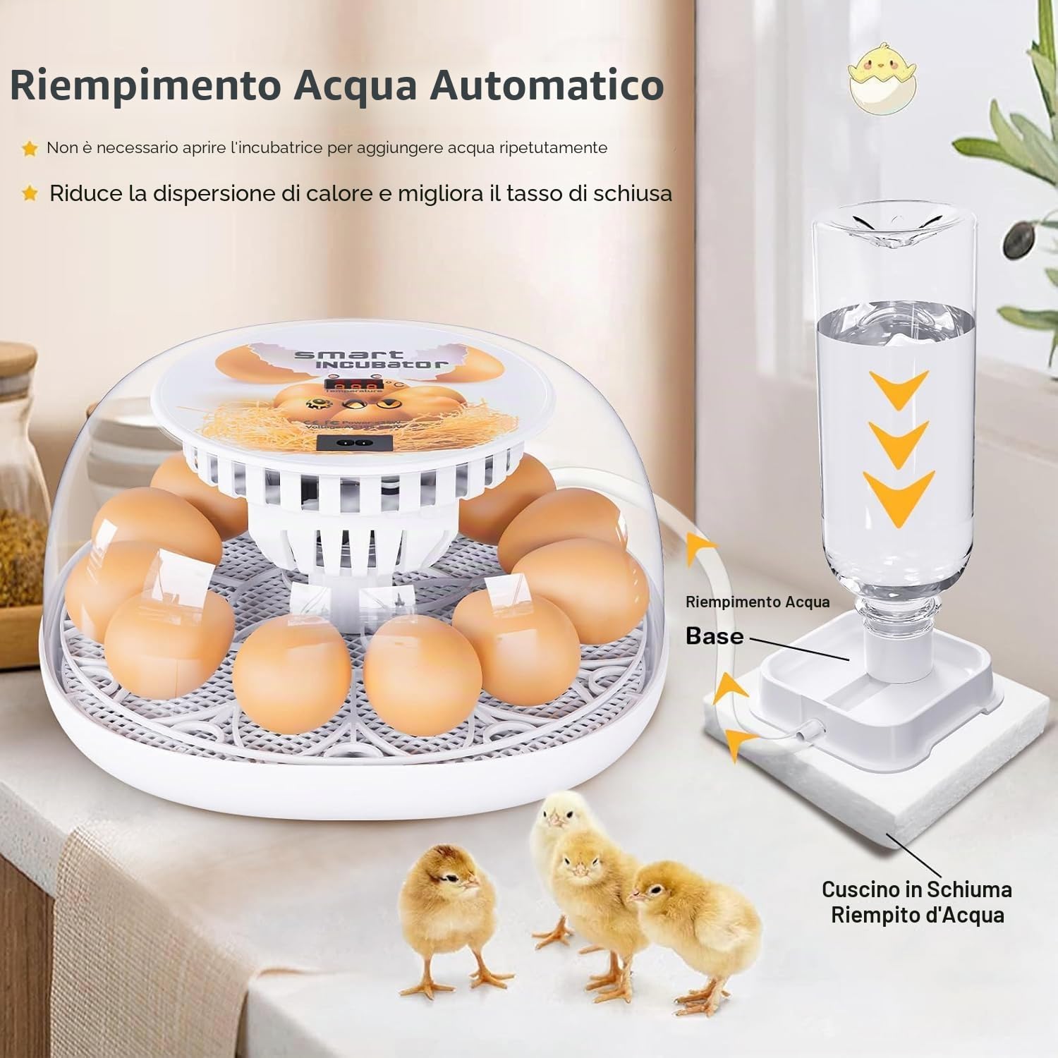 Incubatrici per uova da cova, incubatrice 12 uova con rotazione automatica delle uova e controllo dell'umidità, aggiunta automatica dell'acqua, speratura delle uova a LED, per la cova di uova di pollo