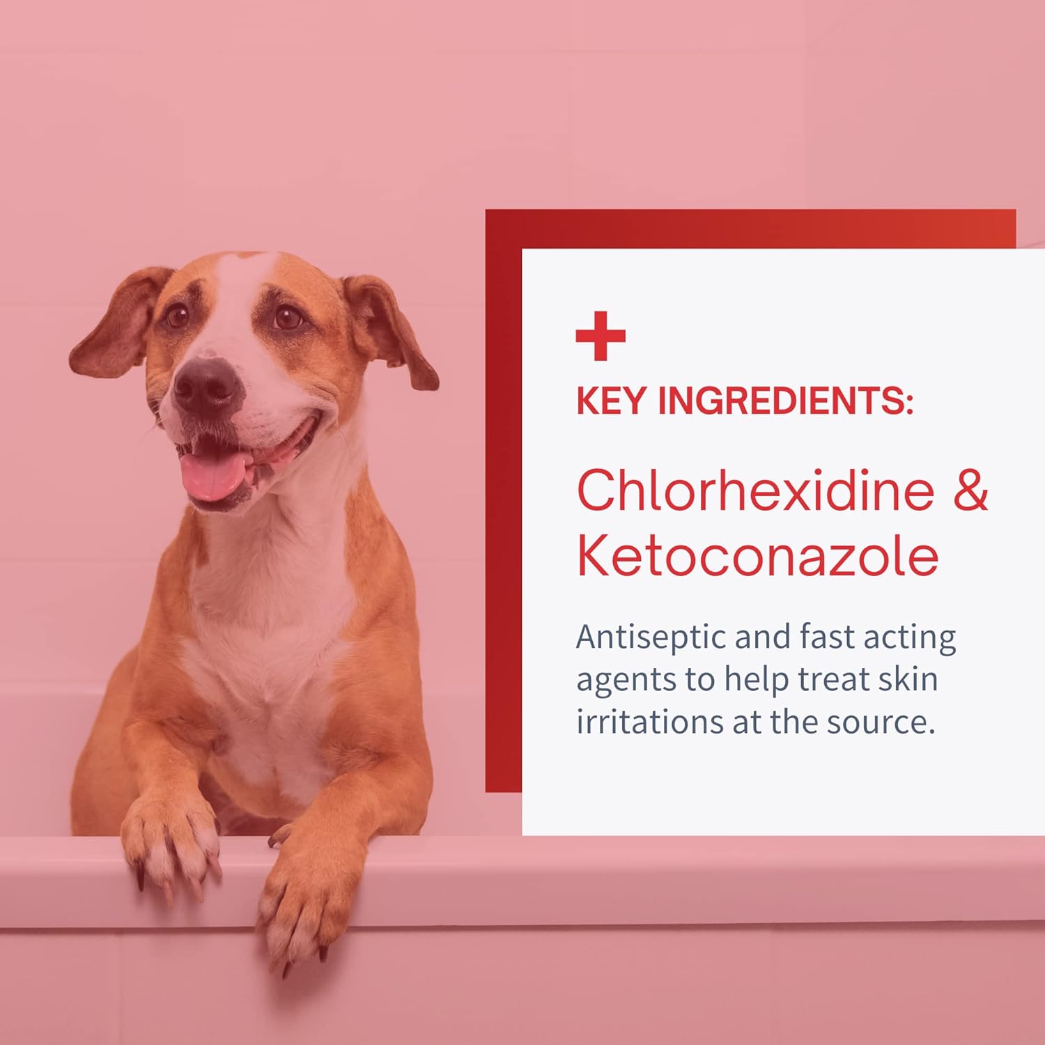 Buy SensoVet Chlorhexidine Ketoconazole Medicated Shampoo for Dogs