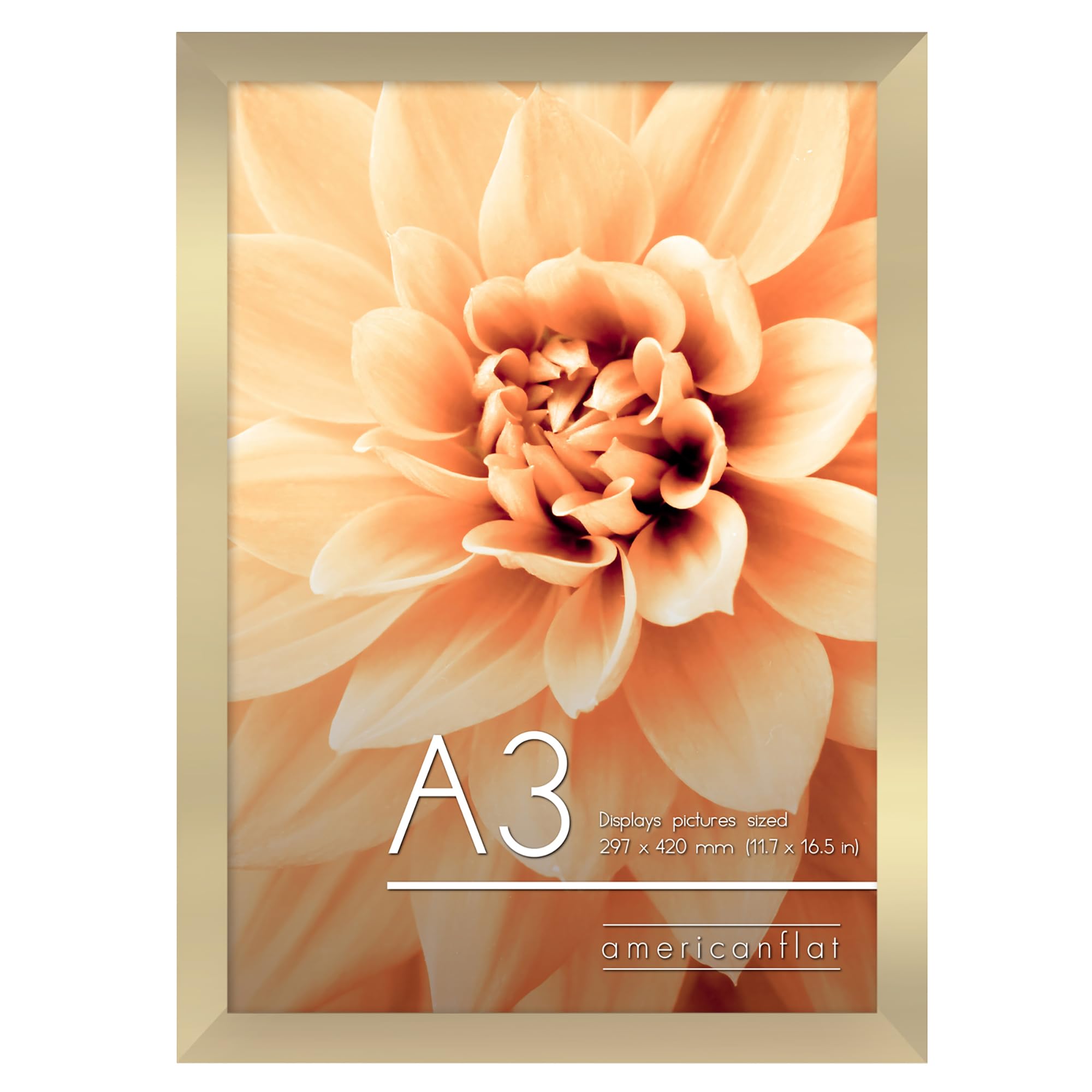 Americanflat Gold A3 Picture Frame In - Engineered Wood With Shatter Resistant Glass - Horizontal And Vertical Formats For Wall - 29.7 X 42 Cm