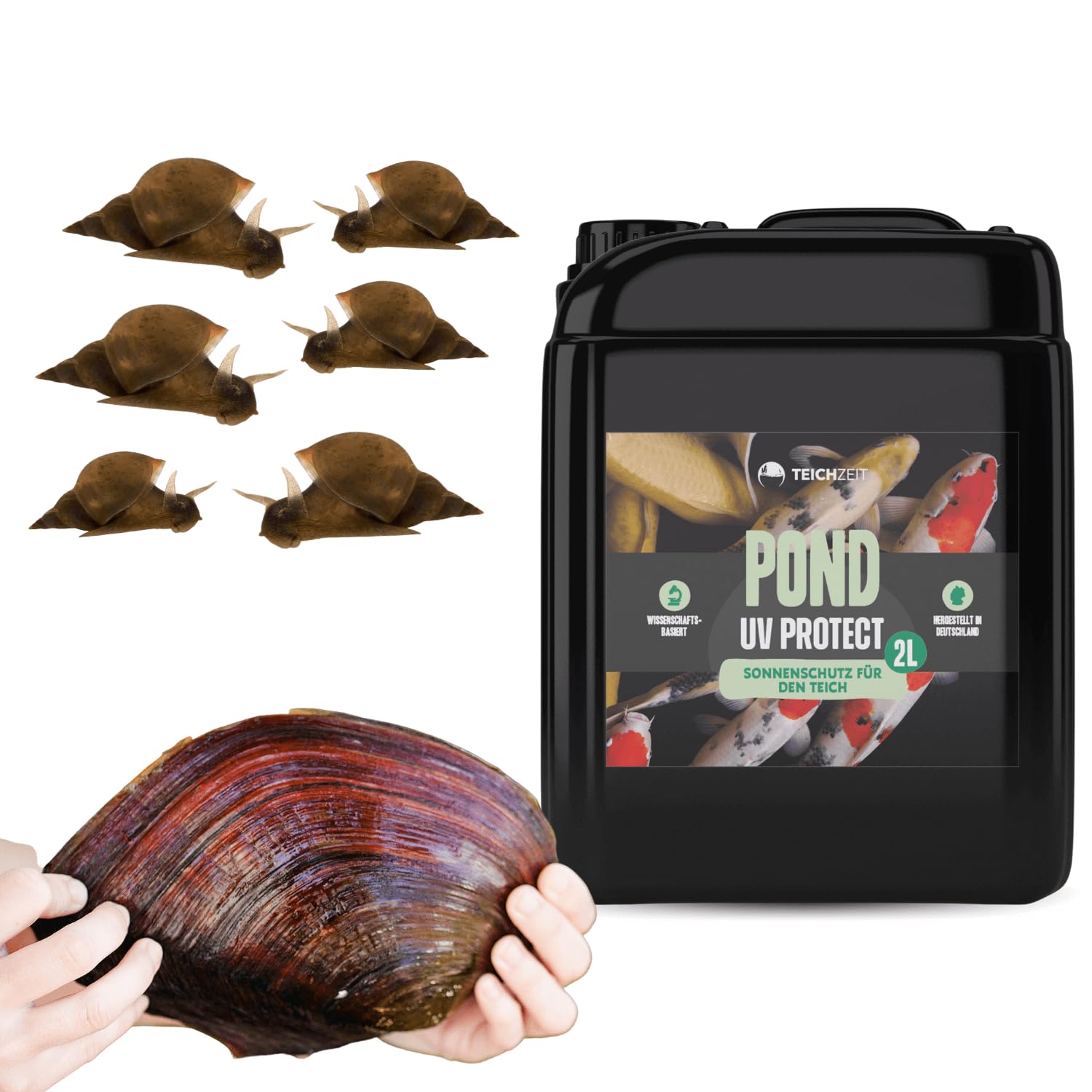 Set per la cura del laghetto senza alghe, per un laghetto da giardino pulito e privo di alghe, 1 stagno pond protezione UV, 10 lumache e 10 conchiglie per laghetto