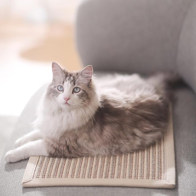 Foto 4 de 6 de FUKUMARU Alfombrilla rascadora para Gatos, 60 x 40 cm, sisal Natural para Gatos