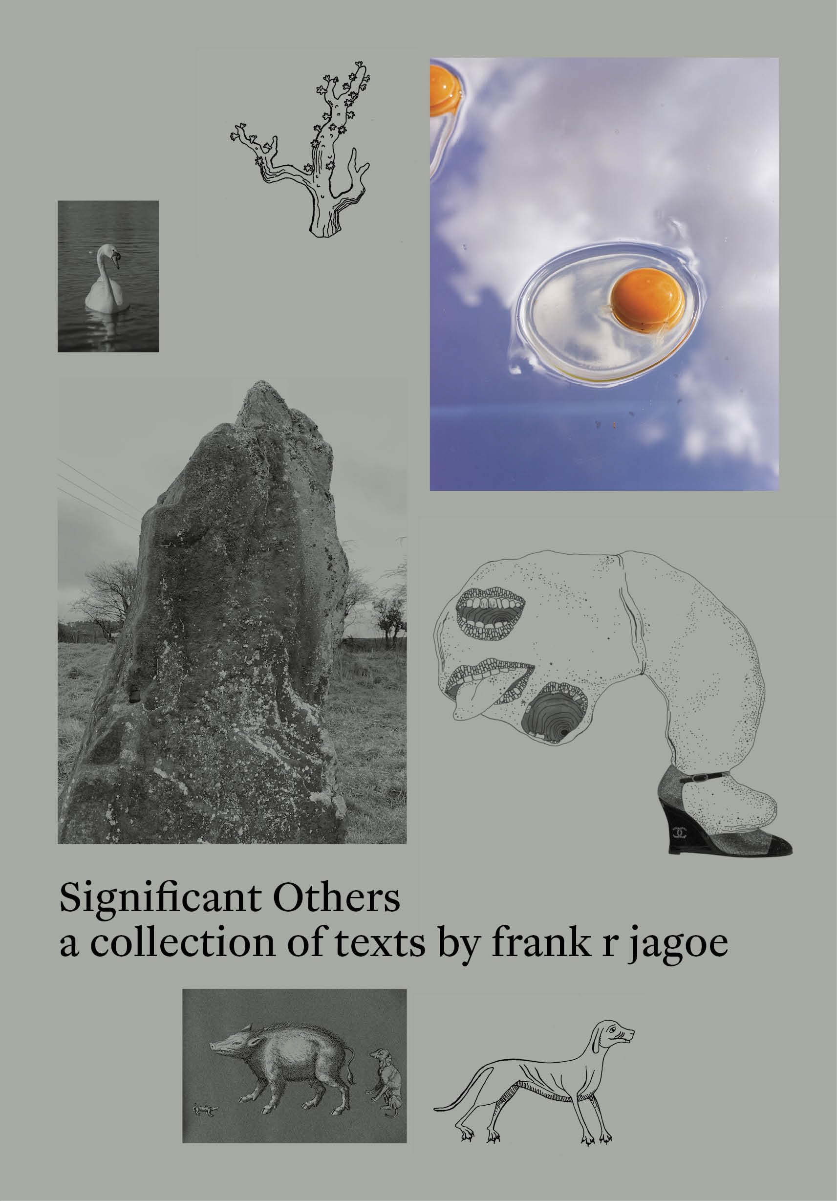 Significant Others by frank r jagoe (Paperback Book)