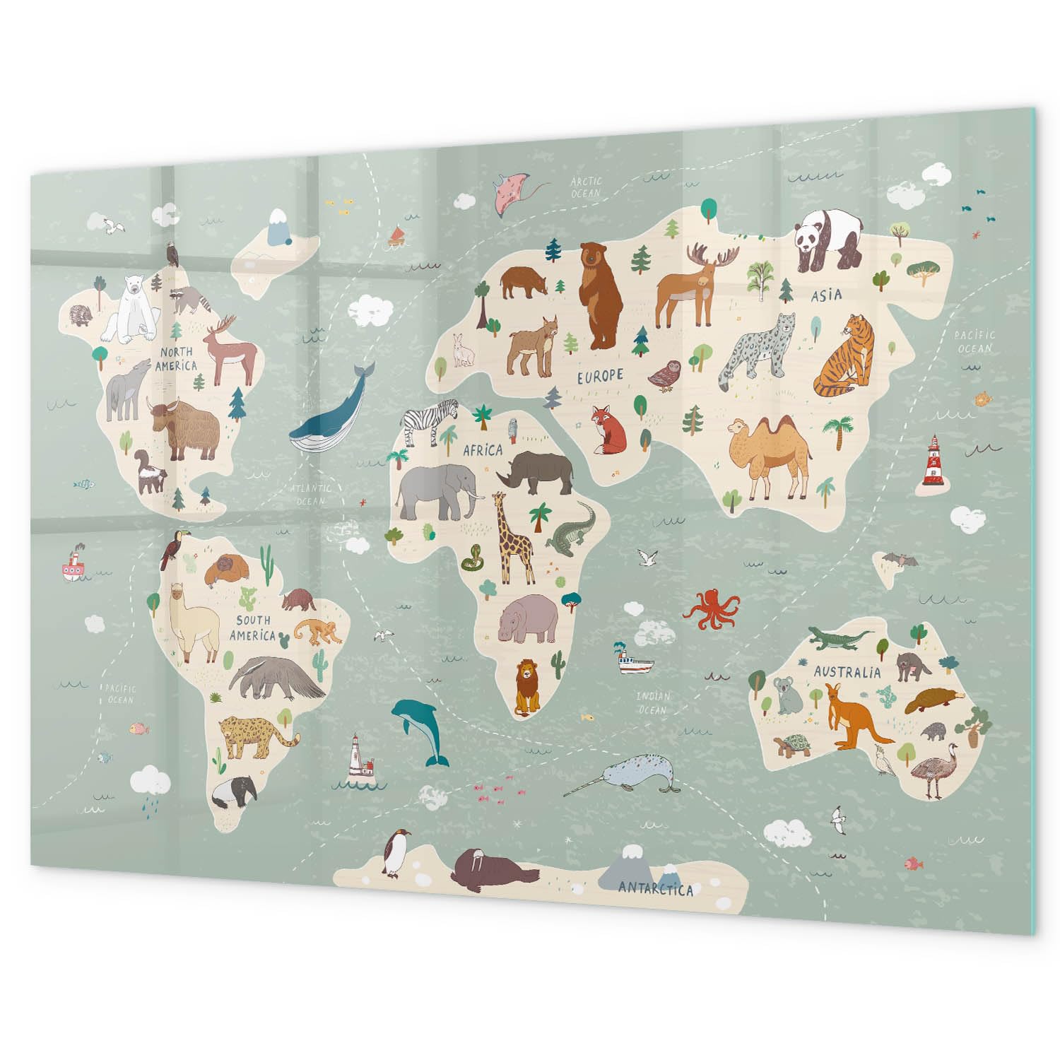 Lavagna magnetica per ufficio 120x60 cm | Mappa degli animali del mondo