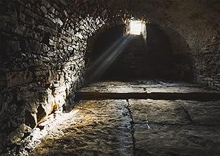 BELECO 7x5ft Fabric Old Jail Cell Backdrop Medieval Prison Dungeon Cellar with Window Sun Rays Stone Wall Background Murder Mystery Crime Party Halloween Prison Jail Party Decorations Photo Props