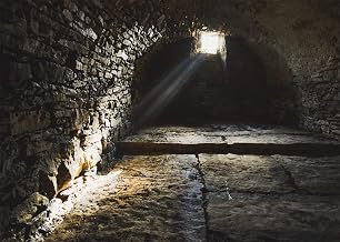 BELECO 7x5ft Fabric Old Jail Cell Backdrop Medieval Prison Dungeon Cellar with Window Sun Rays Stone Wall Background Murder Mystery Crime Party Halloween Prison Jail Party Decorations Photo Props