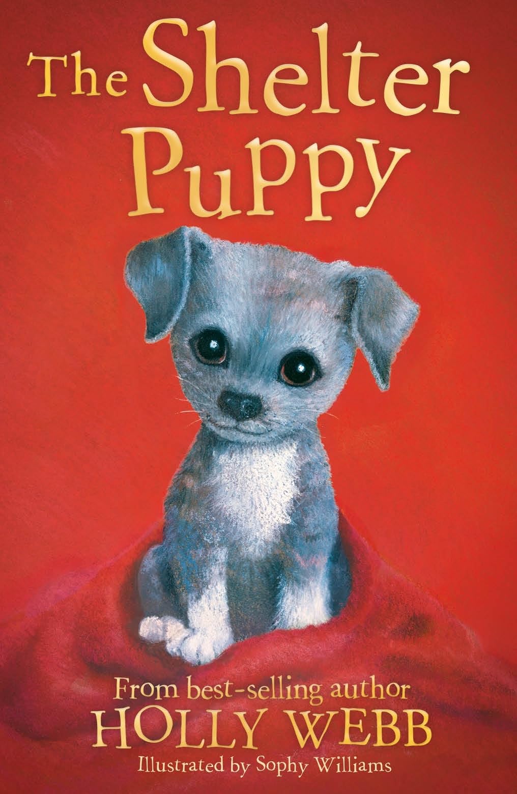 The Shelter Puppy: 40 (Holly Webb Animal Stories, 40)