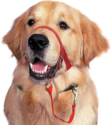 BARKLESS Collar suave para cabeza de perro, herramienta de entrenamiento sin tirones para perros pequeños, medianos y grandes en paseos, collar de