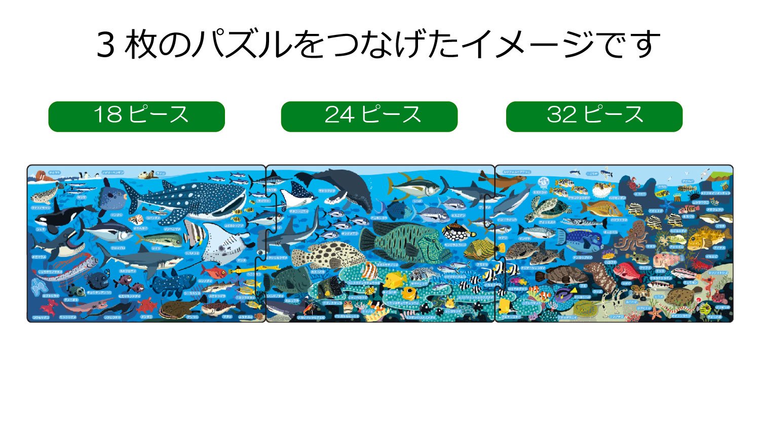 Amazon | エポック社(EPOCH) 【アポロのステップパノラマパズル