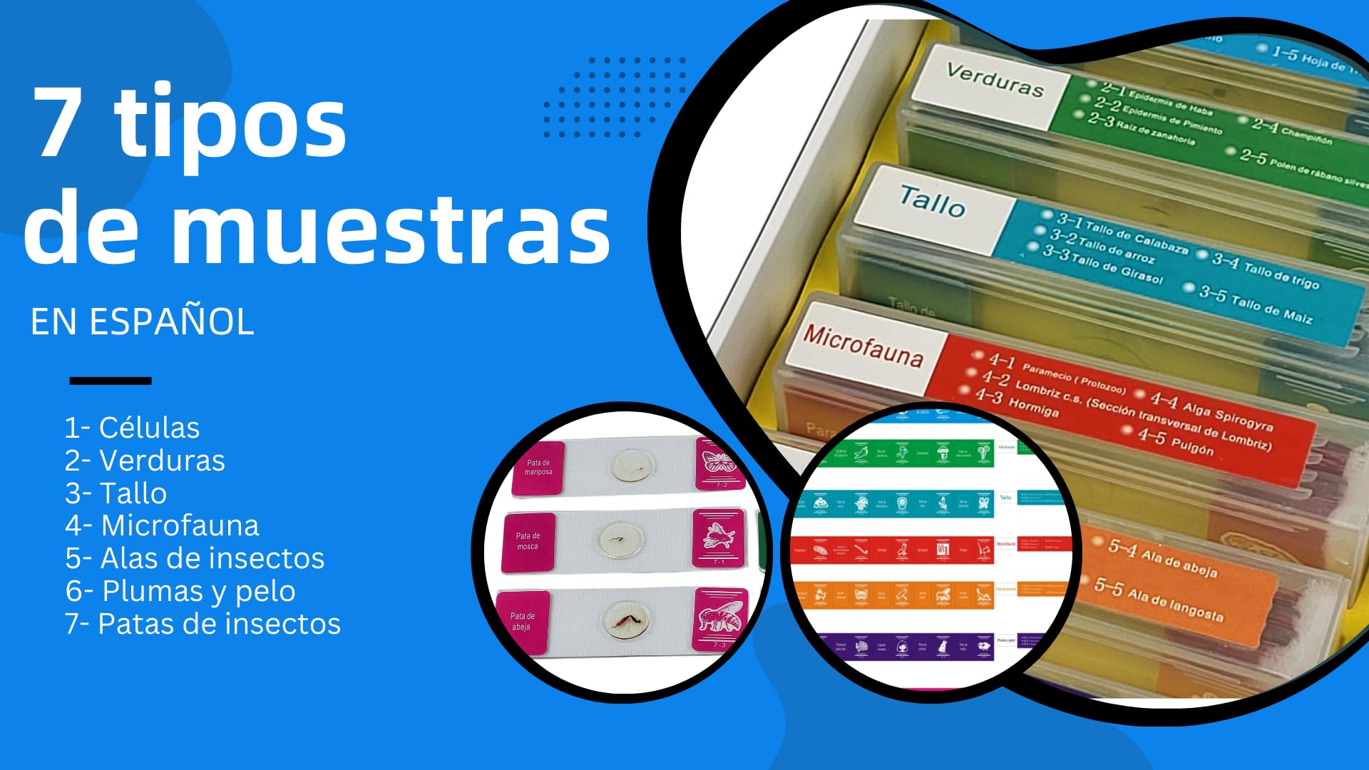 35 Muestras Preparadas para Microscopio en Español: Explora el Mundo Microscópico con Plantas, Animales e Insectos. Ideal para Estudiantes y Adultos.