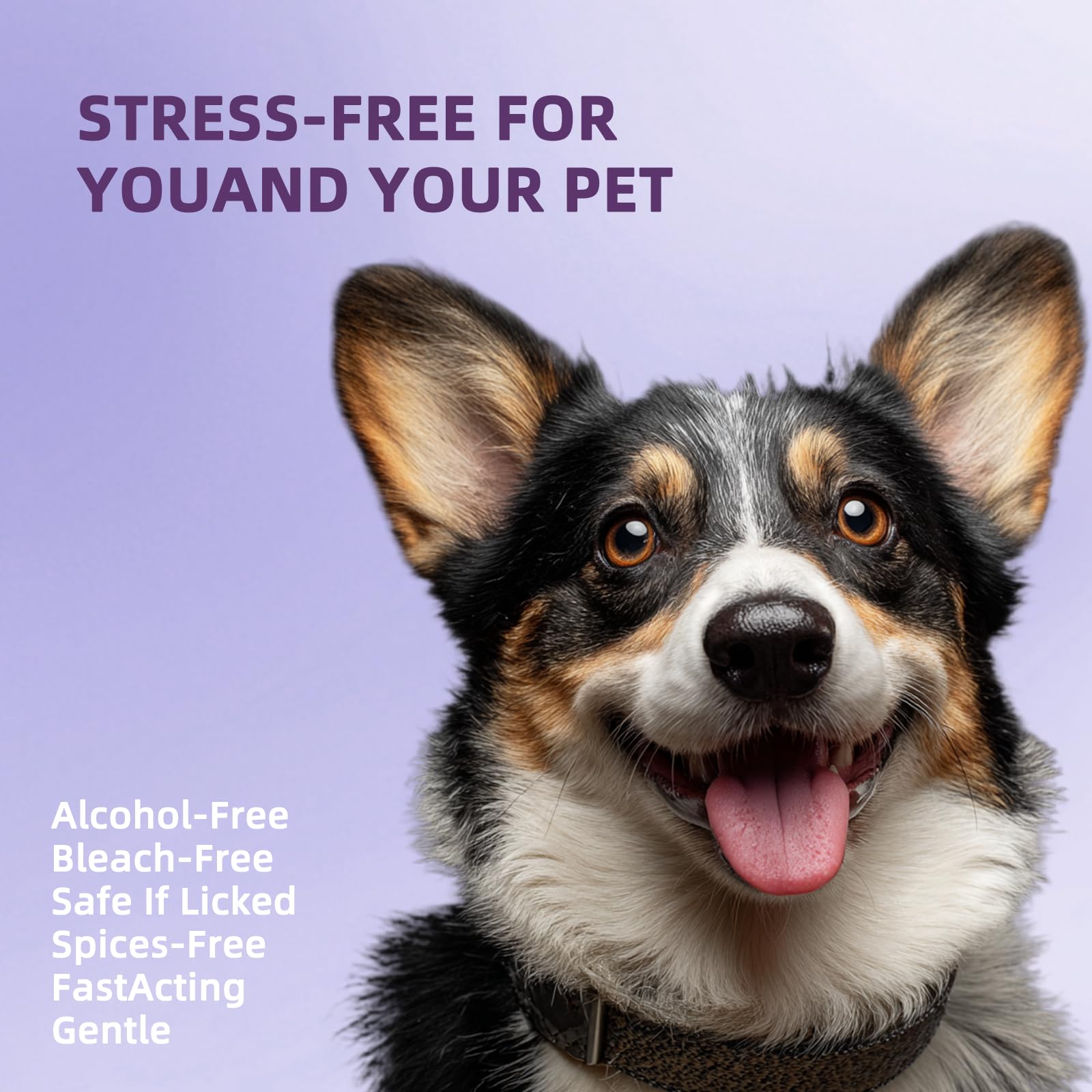 Cats Dogs Dental Care Finger Wipes - 50 PCS Tooth Brushing Kit Dental Wipes for Cats - Teeth Cleaning Finger Wipes for Dog & Cats - Reduces Dental Debris & Freshens Breath (CY_TeethWipes) - image 4