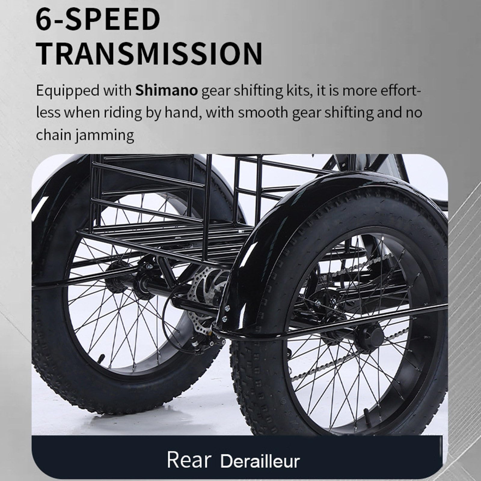 Tricycle Cargo électrique Utilitaire pour Adultes Seniors, 20 Pouces, 6 Vitesses, Batterie Amovible 48 V 13 Ah, autonomie de 40 km, Grands paniers Avant et arrière, écran LCD