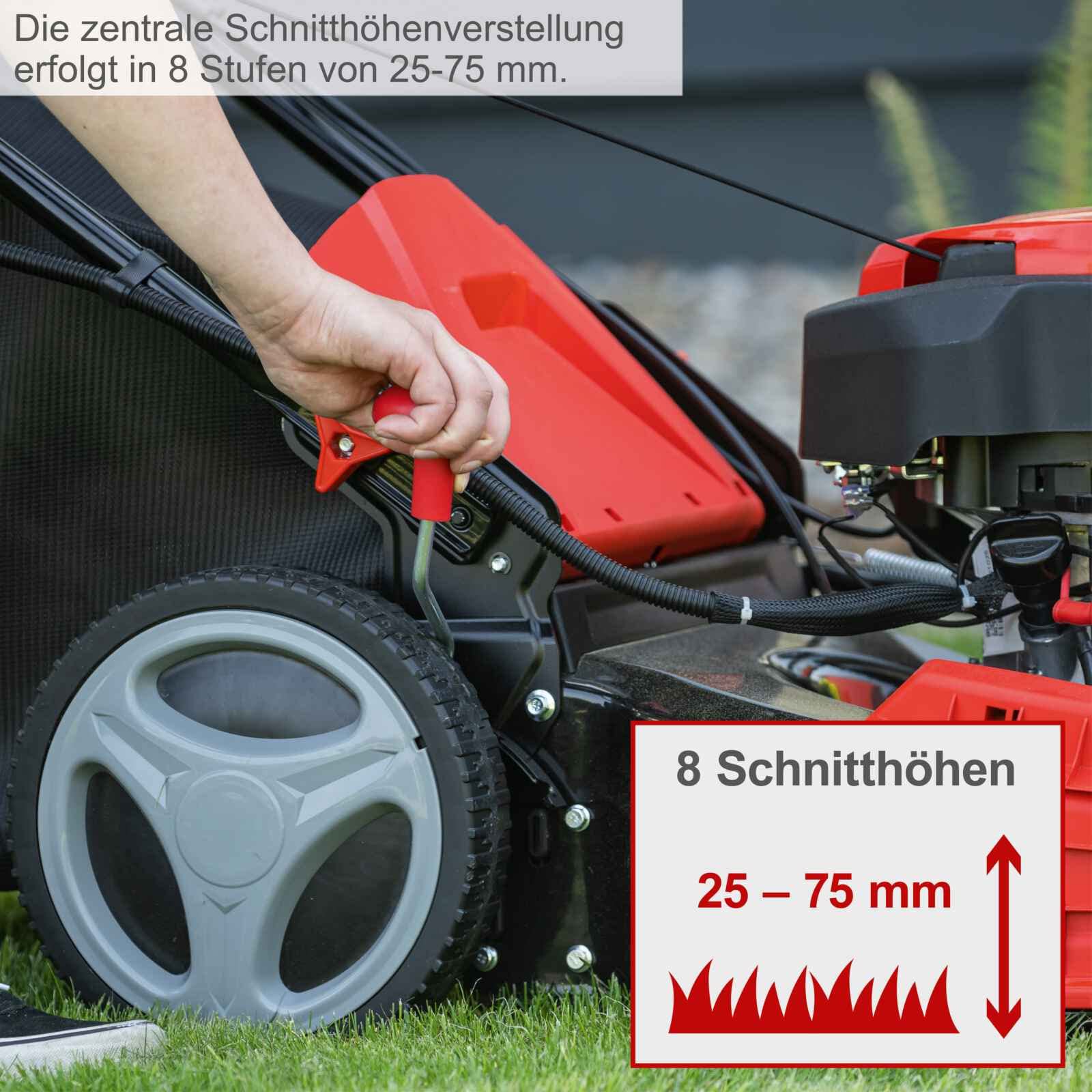 Scheppach MS150-46E Benzin Rasenmäher mit E-Start | 46cm Schnittbreite | Reinigungsfunktion | 55L Korb | Stahlgehäuse | 7-fache Höhenverstellung | Mulchen | Antrieb | Seitenauswurf | inkl. Motoröl