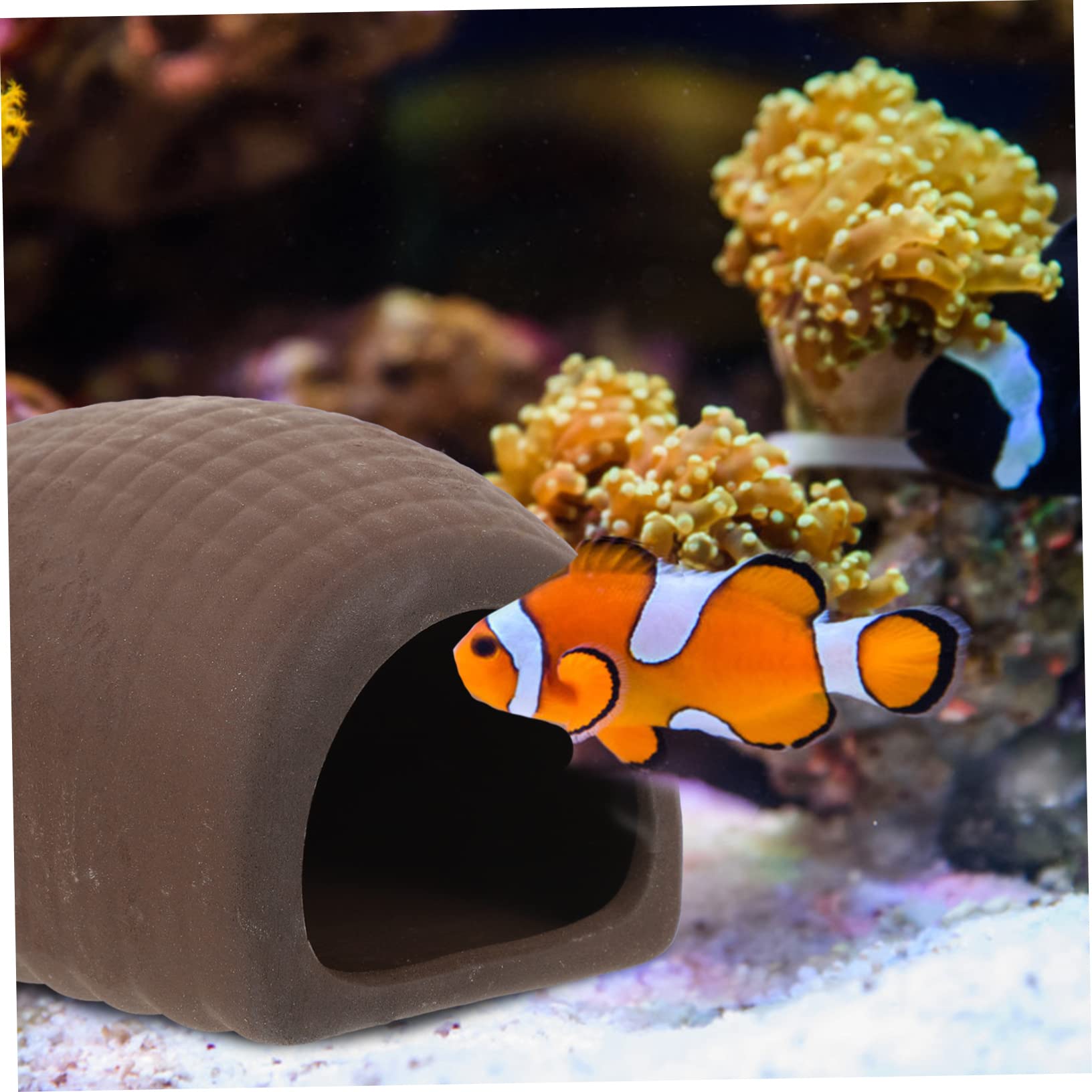 Sosoport 3 Sätze Aquarienfische Aus Keramik Fische Züchten Aquarium Versteck Aquariumzubehör Fischzucht Aquarium Zubehör Garnelenzuchthöhle Netz Panzerversteck Zarte Fischhöhle 2 Stück * 3