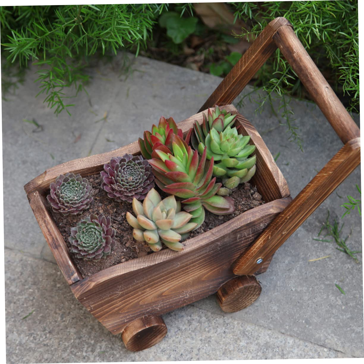 GANAZONO Cartoon Cart Shape Flower Pot for Succulents and Natural Nursery Basin with Drainage for Home Decoration