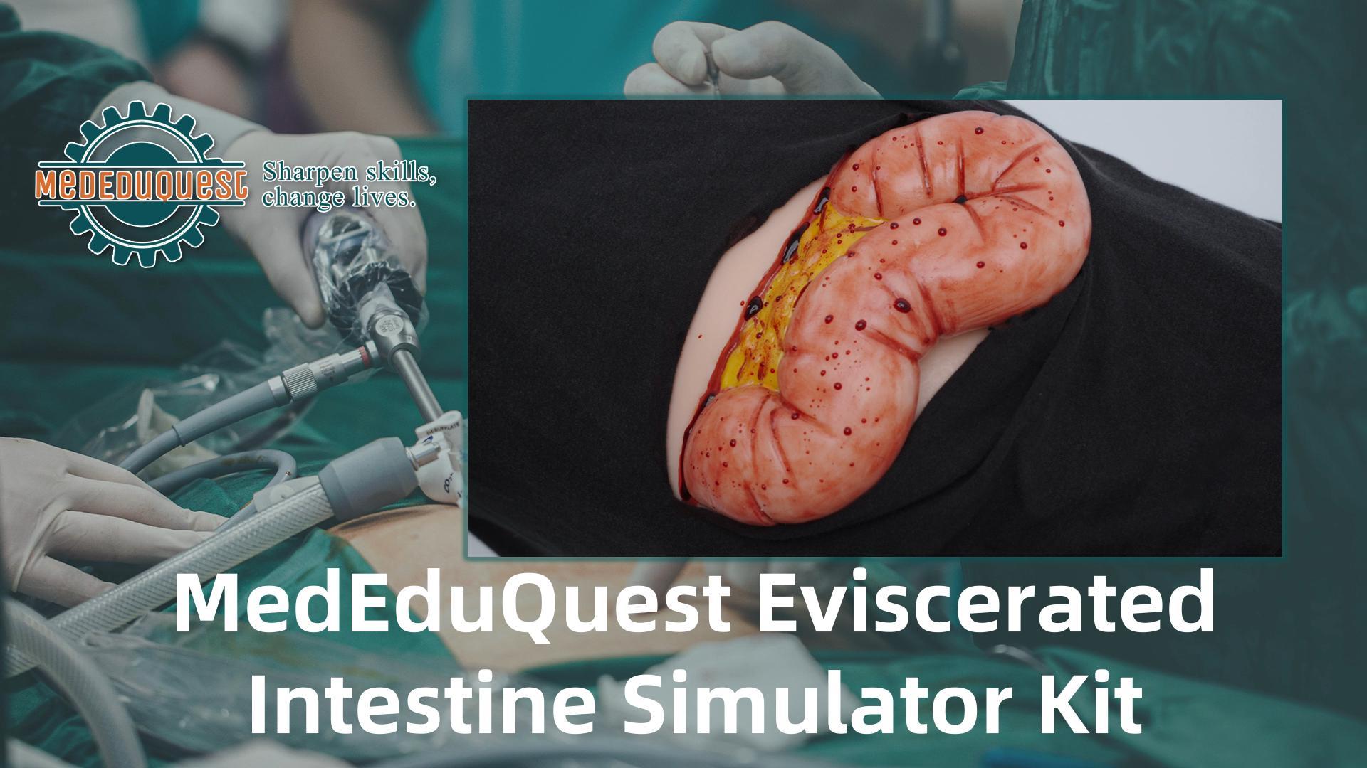Image of Eviscerated Intestine Simulator, Open Abdominal Wound Packing Trainer, Large Intestine Simulator for Wound Care Practice, Medical Education Tools