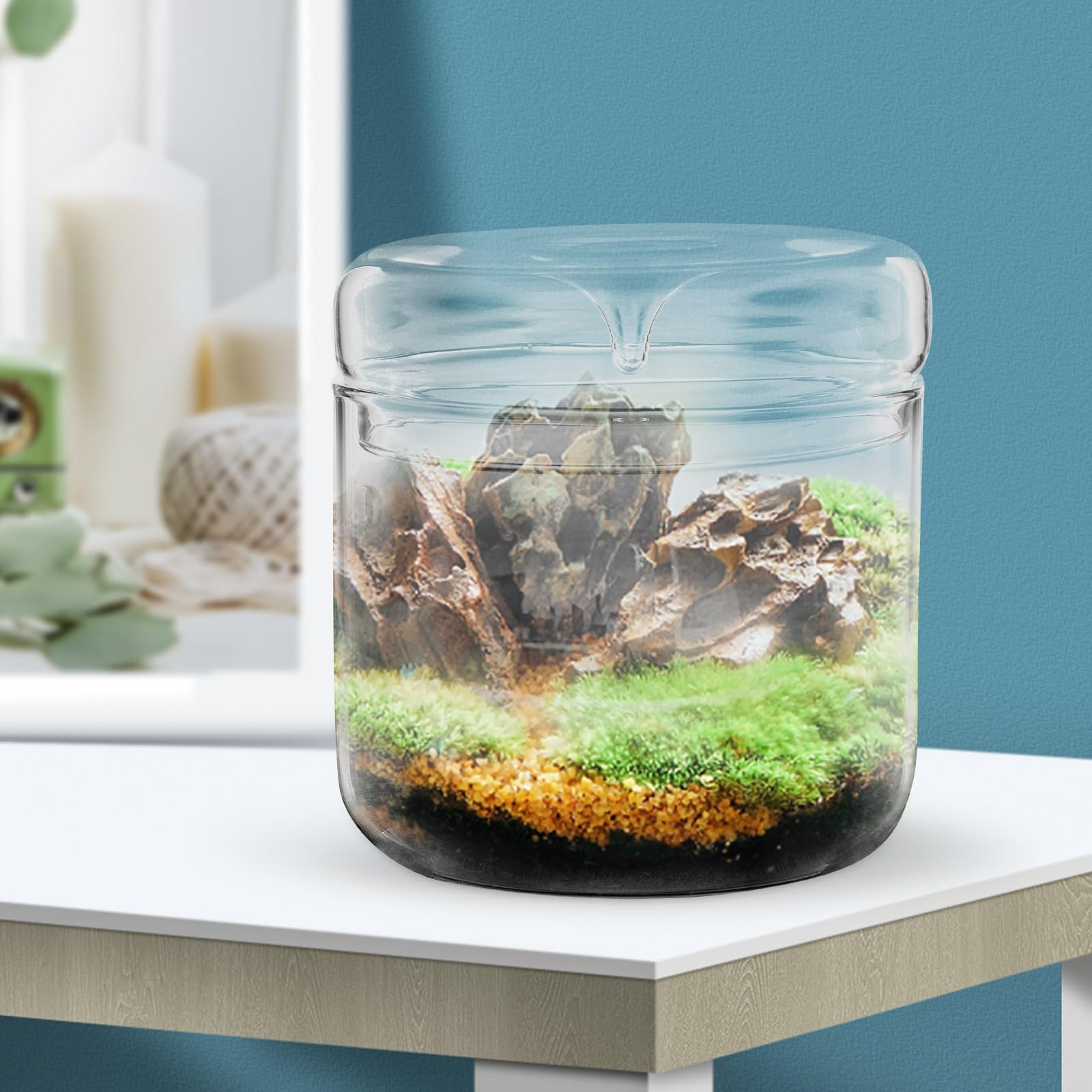 Terrario di Vetro per Piante Ecosistema Multifunzionale, Contenitore Paesaggistico Piccolo per Micro Paesaggi Fai da Te, Decorazione da Tavolo per Soggiorno, Ufficio e Interni
