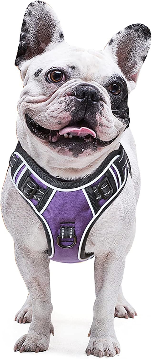 EAVSOW Dog Harness, No Pull Pet Harness with Front & Back 2 Leash Attachments, Adjustable Reflective Dog Vest for Outdoor Walking Training Control (S,Purple)