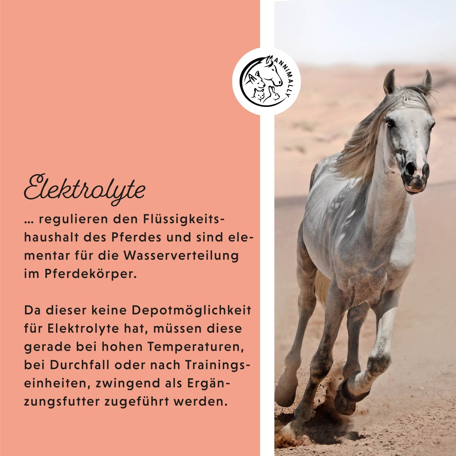 Annimally Elektrolyte Liquid für Pferde 1000ml mit Natrium, Kalium, Acerola, Calcium, Magnesium und Vitamin B flüssig - Elektrolyt Liquid ohne Zuckerzusatz