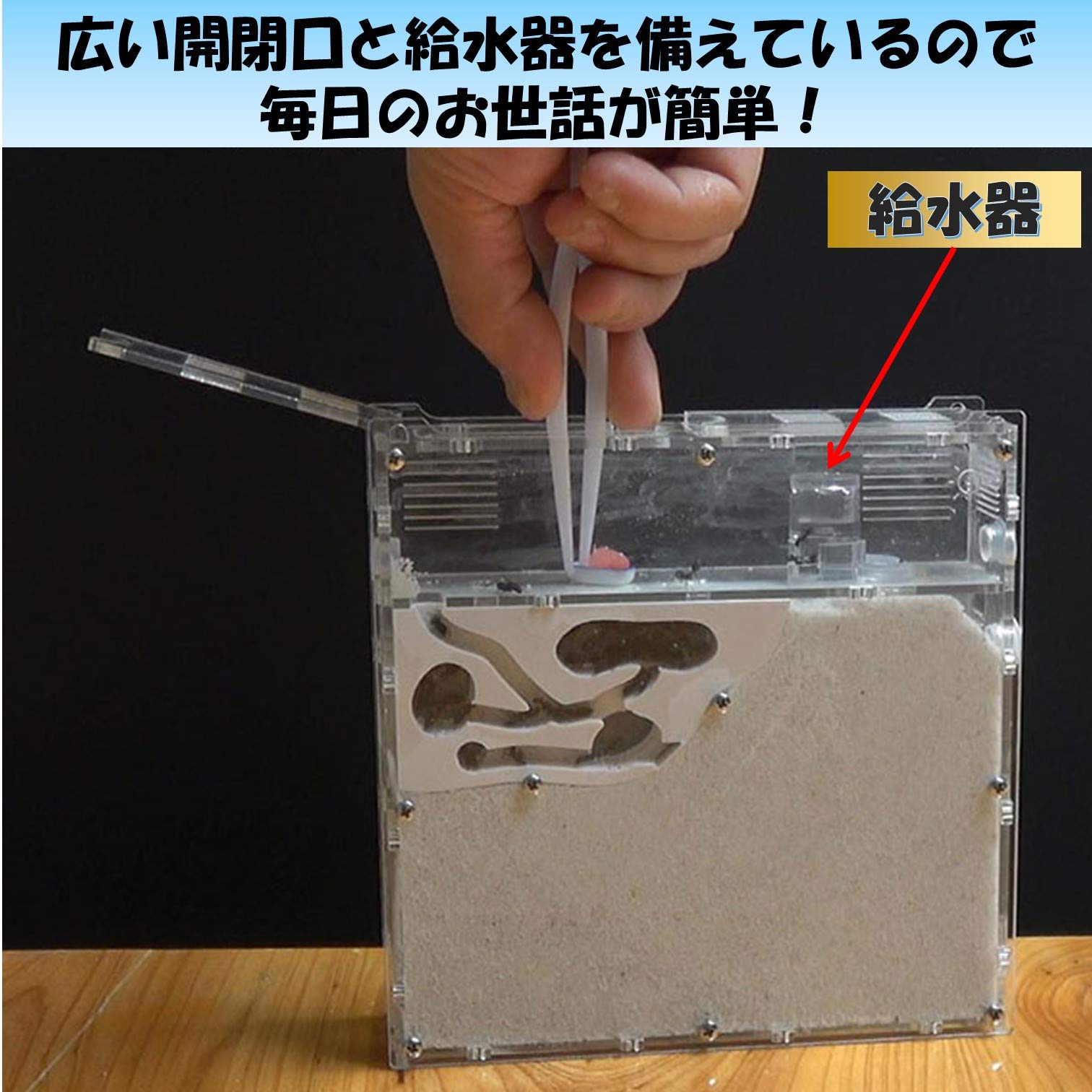 Amazon | EXDUCT アリ飼育セット 自由研究 ケース 水槽 砂 観察 巣