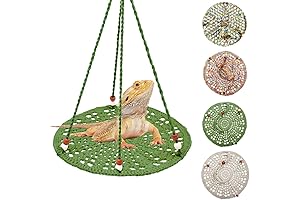 Bearded Dragon Swing: Ultimate Relaxation for Your Scaly Friend