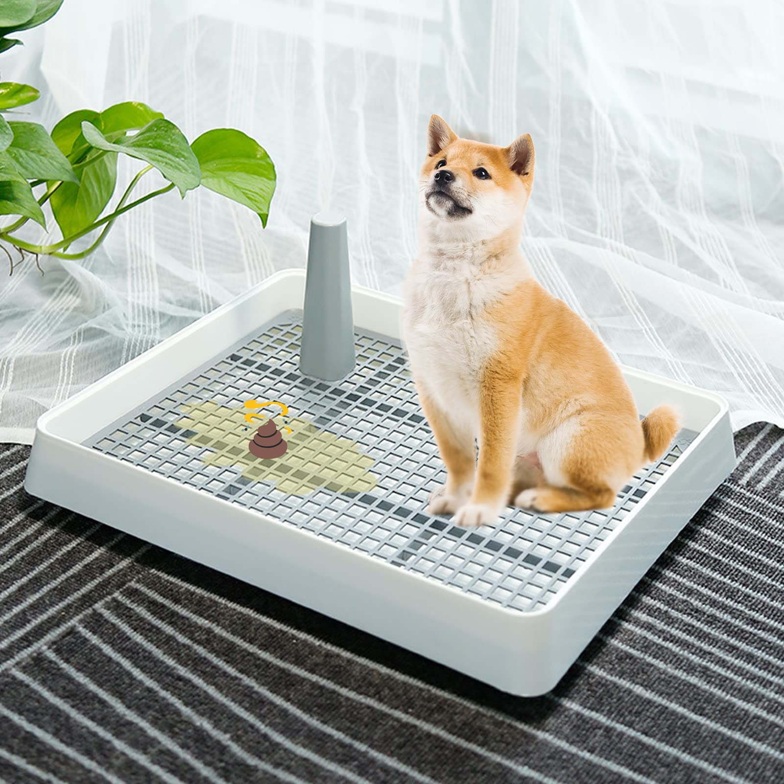 Töpfchen für große und kleine Hunde, aus Kunststoff, zum Trainieren