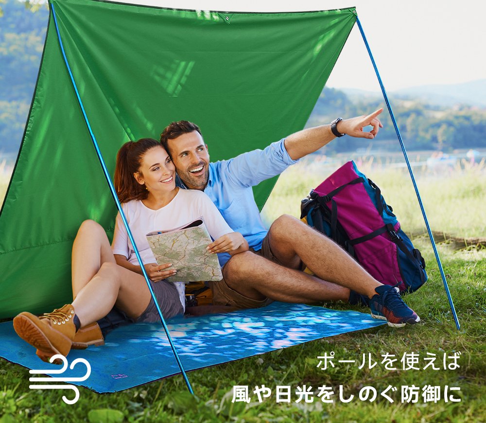 Amazon.co.jp: Terra Hiker レジャーシート アウトドアキャンプタープ
