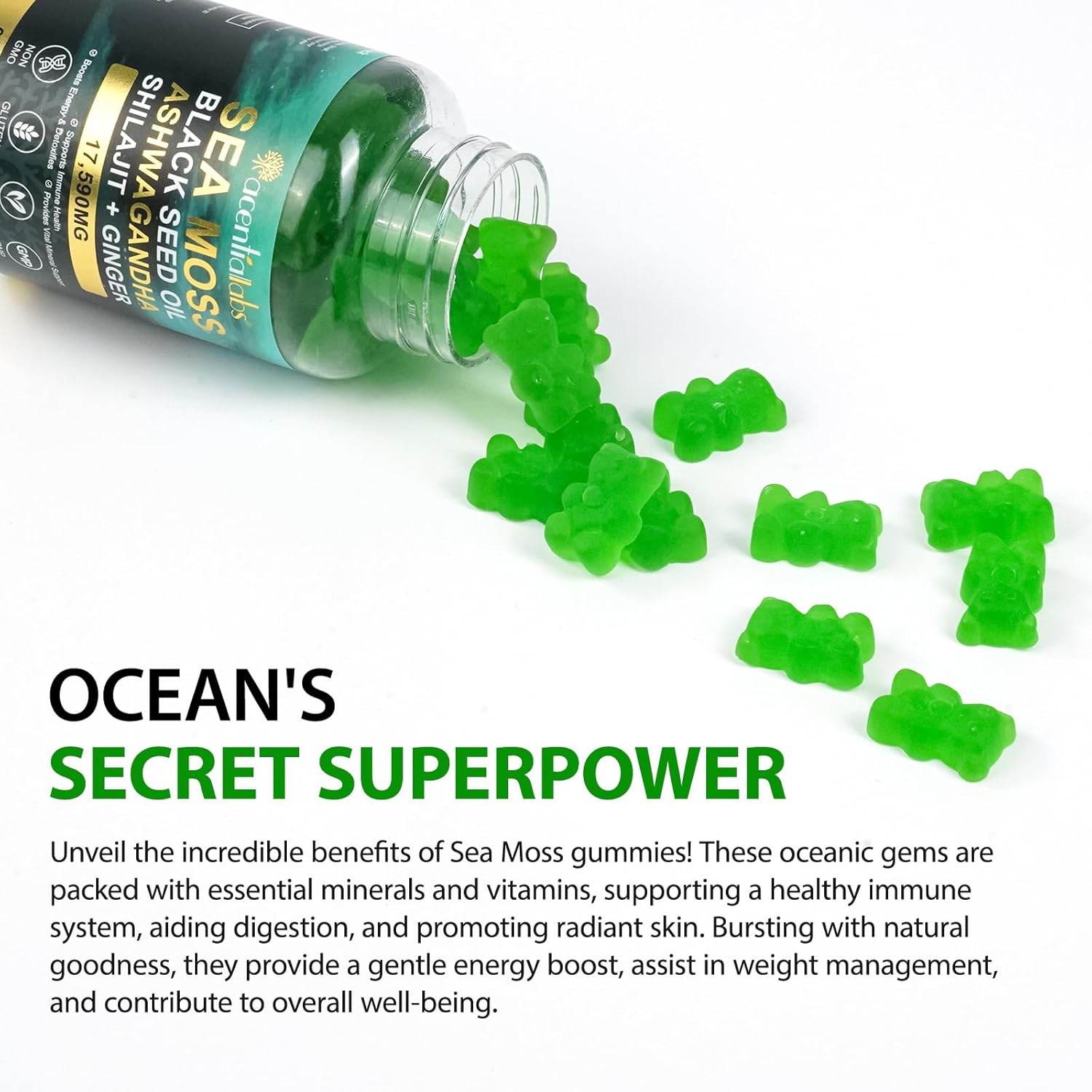 Sea Moss Gummies with Elderberry Black Seed Oil Ashwagandha Ginger Bladderwrack Vitamin C Vitamin D Enhanced Immunity & Energy Supplement for Women, Men - Non GMO, Vegan (120 Gummies) - Image 5