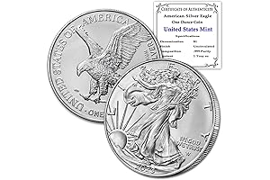2023 1 oz American Silver Eagle Coin BU
