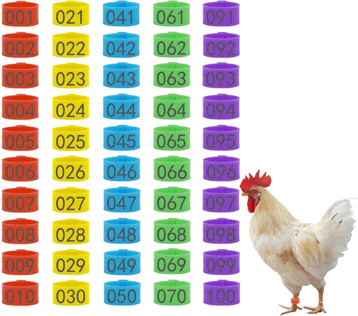 100 anillos para patas de pollo con 5 colores, 16 mm, bandas numeradas para identificación de pollo, bandas para tobillo para aves de corral, para gallo, pato, guinea y pájaros medianos