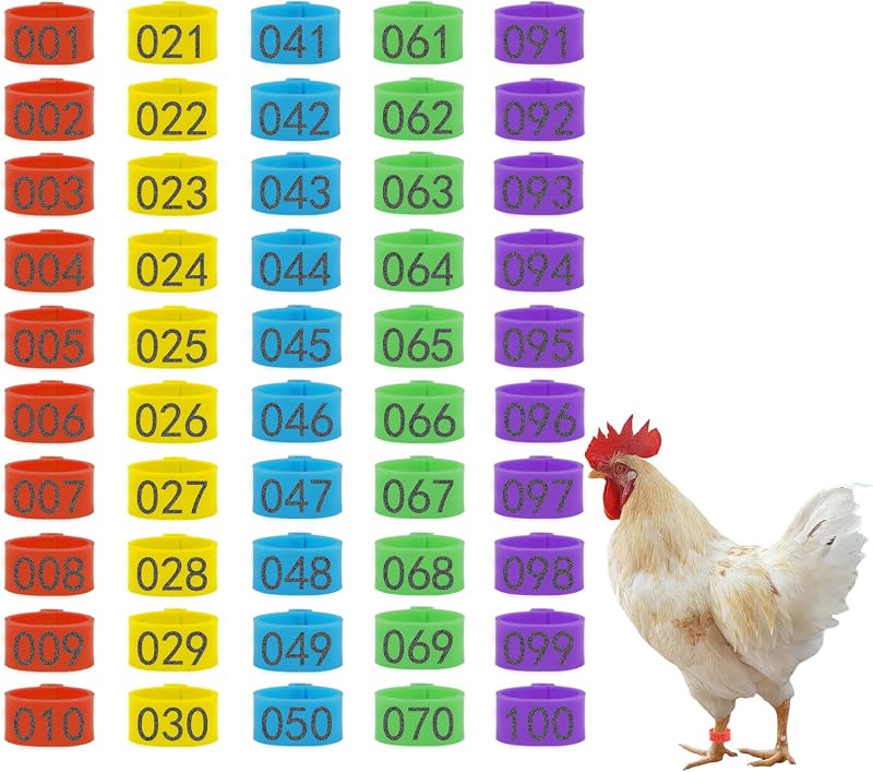 100 anillos para patas de pollo con 5 colores, 16 mm, bandas numeradas para identificación de pollo, bandas para tobillo para aves de corral, para gallo, pato, guinea y pájaros medianos