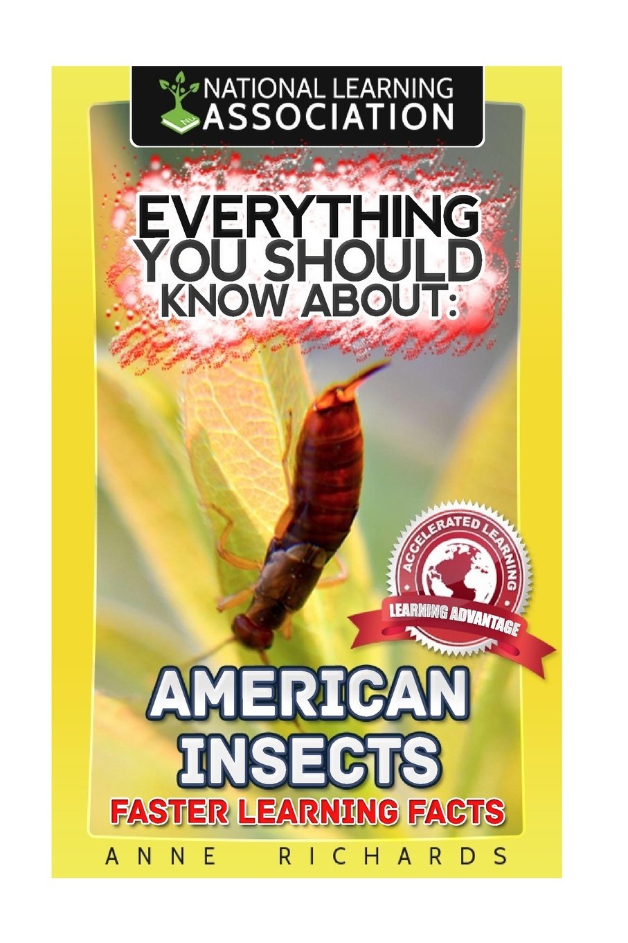 Everything You Should Know About American Insects