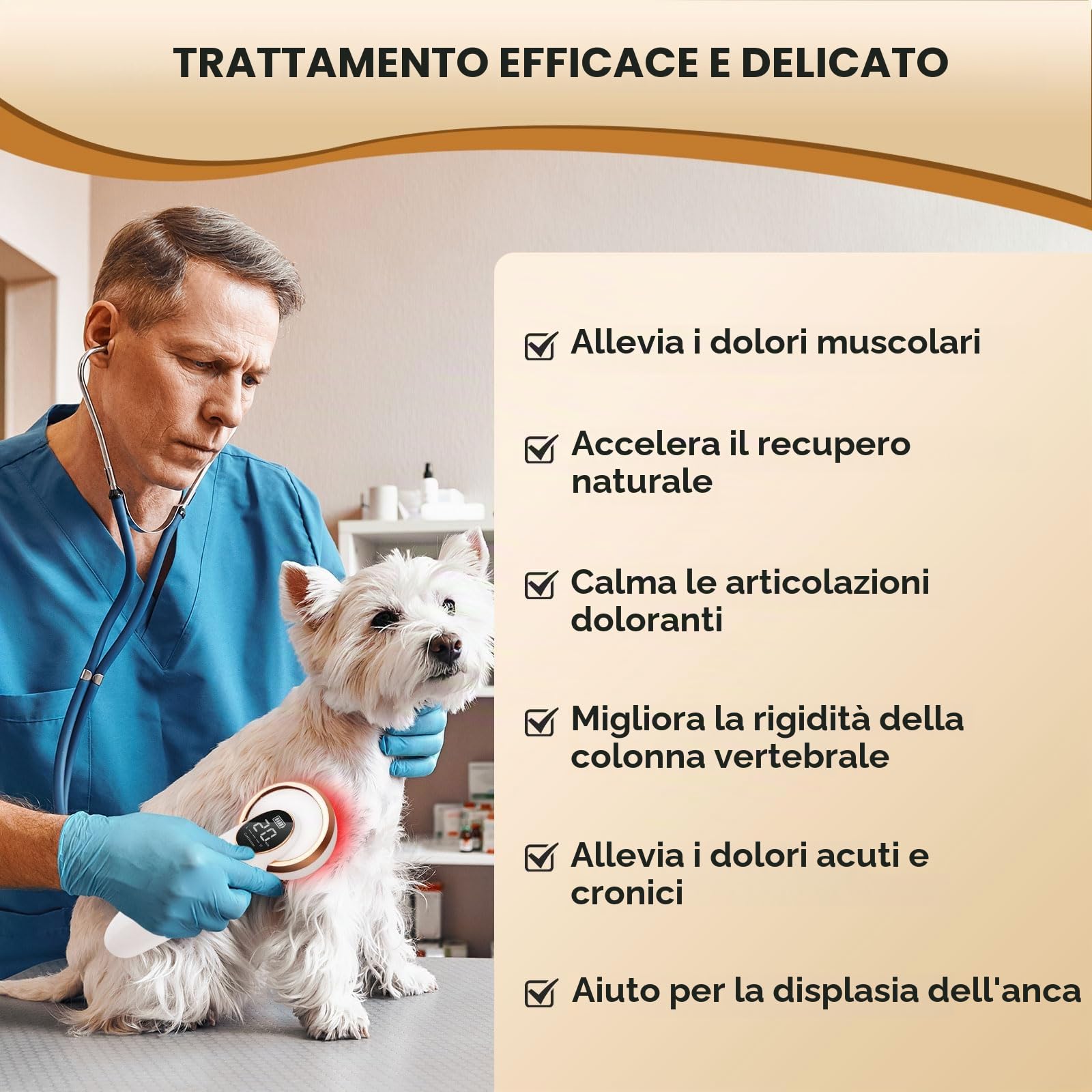 Terapia laser a freddo, per persone e animali domestici, per alleviare il dolore e migliorare la guarigione naturale, luce a infrarossi con valigetta portatile, 12 pezzi da 650 nm e 4 pezzi da 808 nm