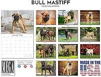 Vista 1199 de Razas de Perros 2017