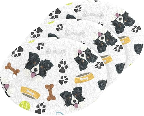 susiyo Dog Paw and Border Collie - Esponjas comprimidas, paquete de 3 esponjas para lavar platos