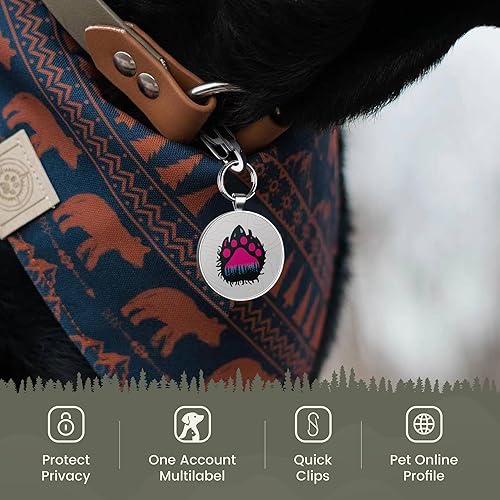 Miniatura 4 de KEKID Etiquetas de identificación de perro QR Clip para mascotas Etiqueta de collar personalizada Etiquetas de identificación inteligente para