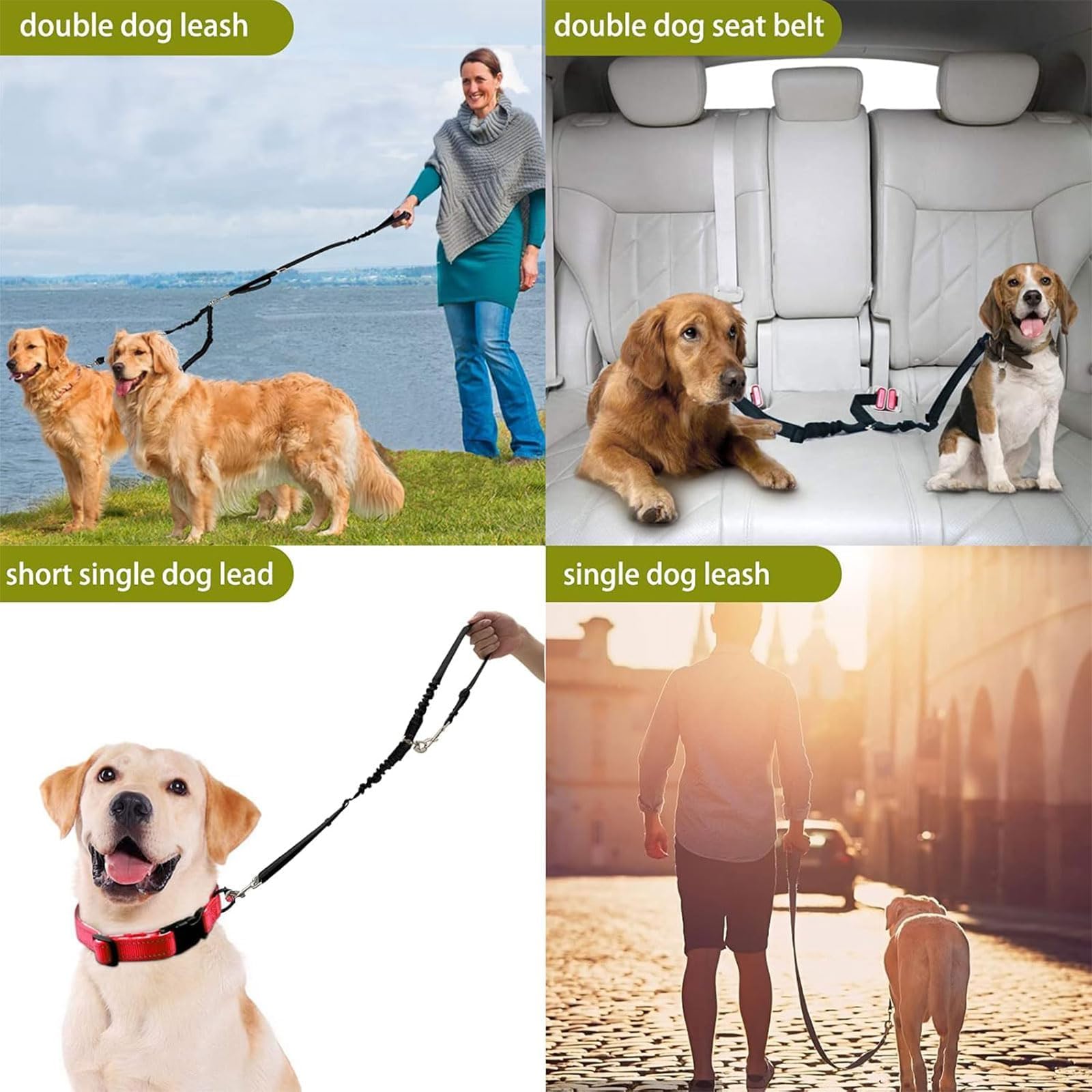 Double Dog Lead for Walking 2 Dogs No Tangle, Double Lead for 2 Dogs No Tangle, Dog Lead Splitter 2 Way for Small Medium - Image 3