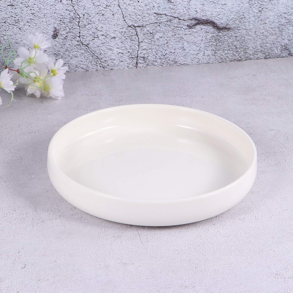 CORHAD Reptile Feeding Bowl Durable Ceramic Water Dish for Tortoise Lizard Frog Lightweight Design Diameter Easy to Clean Feeding Container for Reptiles